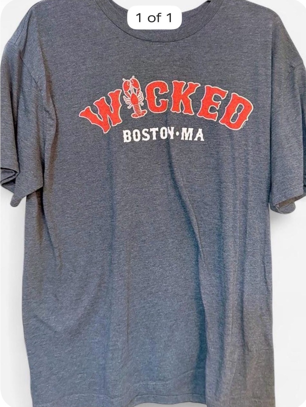 Wicked Boston MA Graphic T-Shirt - Gray